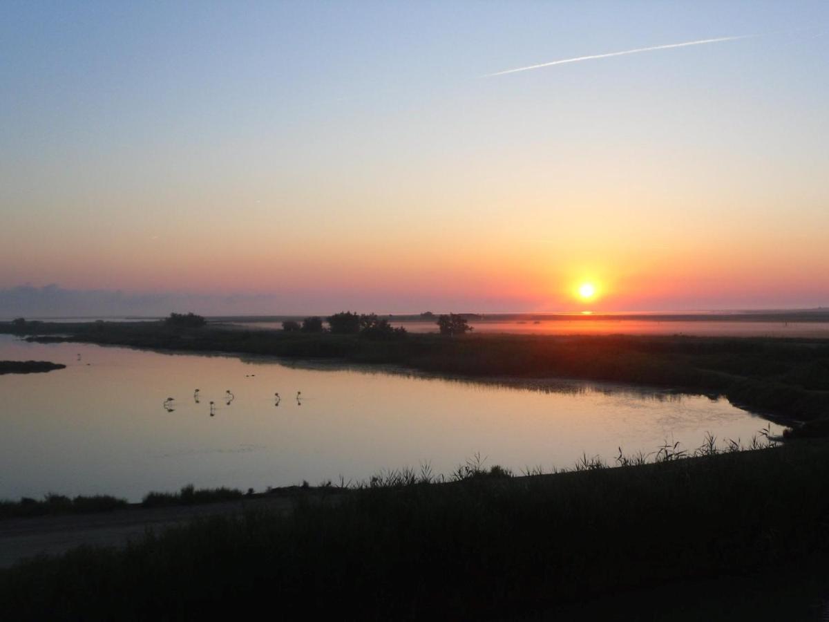 Chambre Les Flamants, Avec Vue Imprenable Sur Les Etangs, Les Oiseaux, La Nature, Petit Dejeuner Compris Saintes-Maries-de-la-Mer Exteriér fotografie